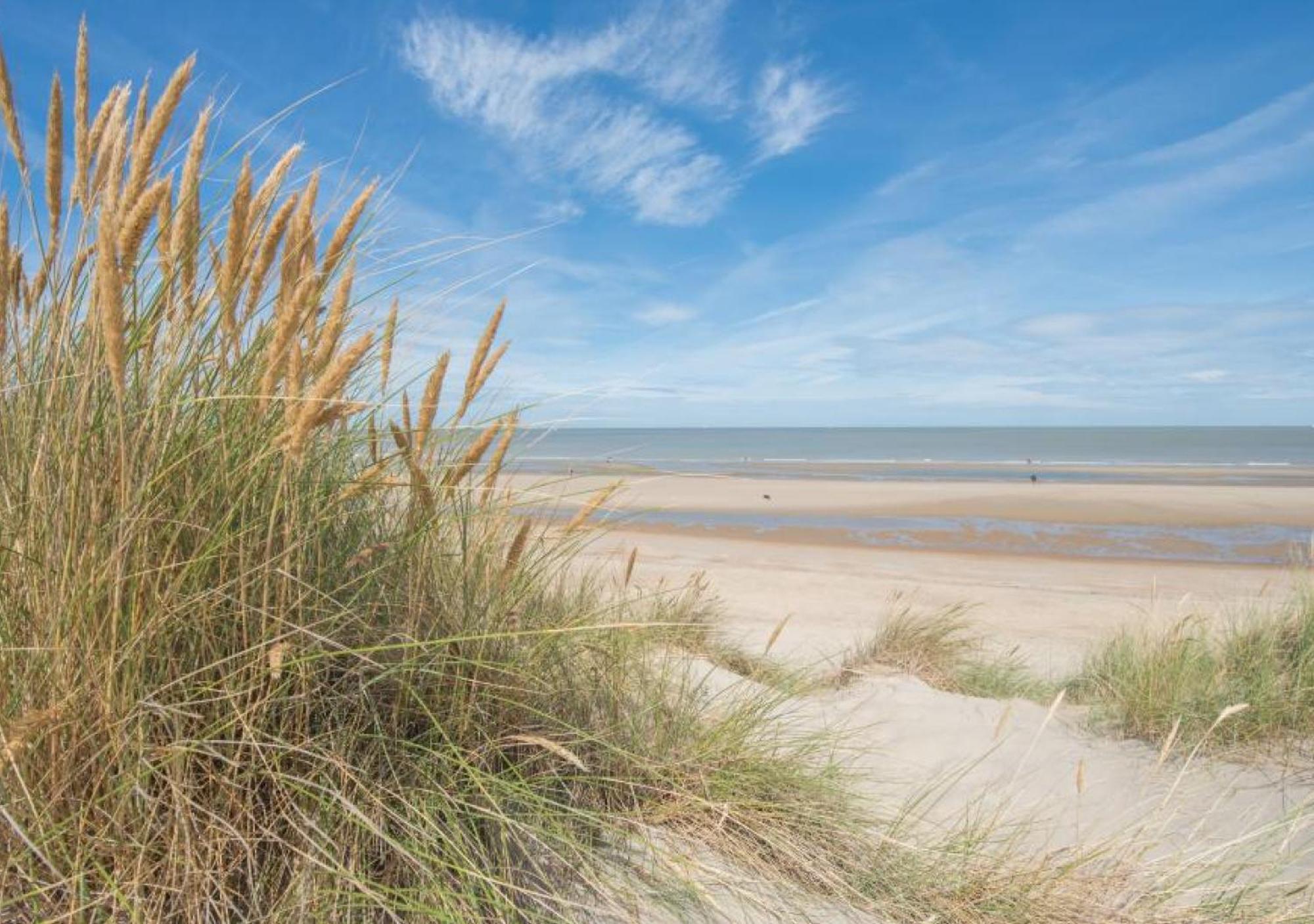 Salty - Vakantiehuisje Op De Grens Van Bredene-De Haan Екстериор снимка